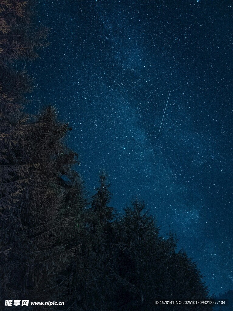 夜空下的森林与璀璨星河