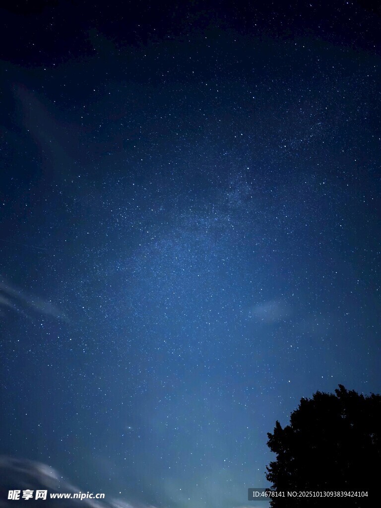 夜幕下的天空与树木剪影