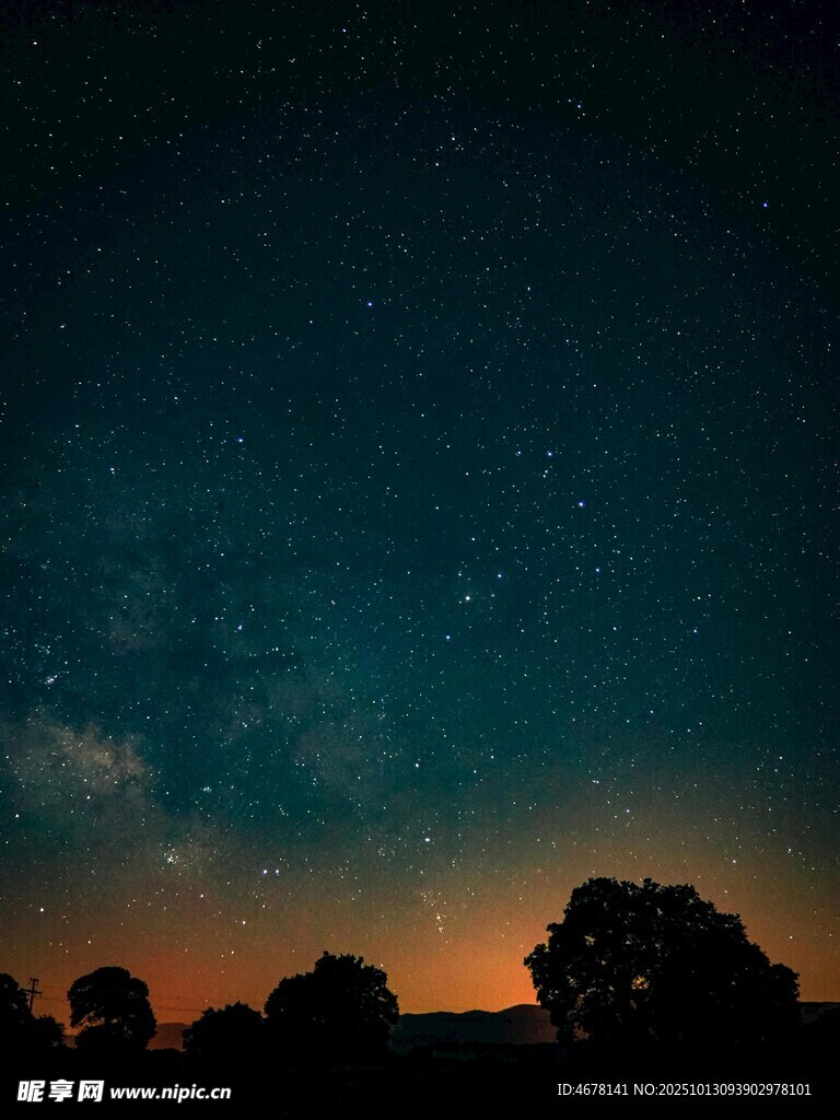 夜幕下的星空与树木剪影