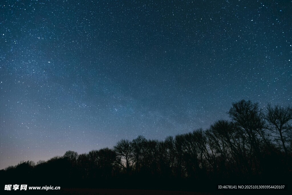 夜空下的树林与璀璨繁星
