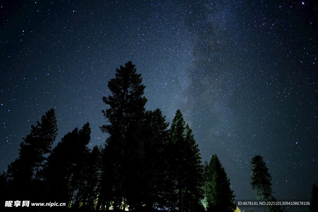 夜空下的森林与璀璨星河