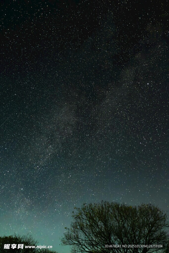 夜空下的树木与璀璨星河