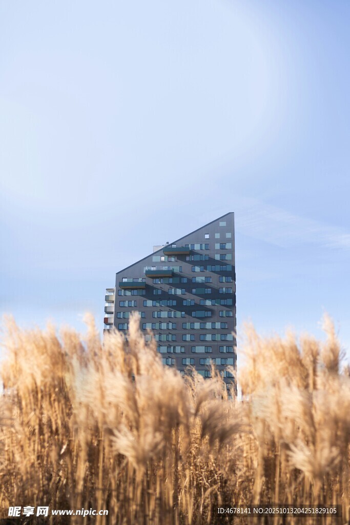 芦苇丛中的现代建筑奇观