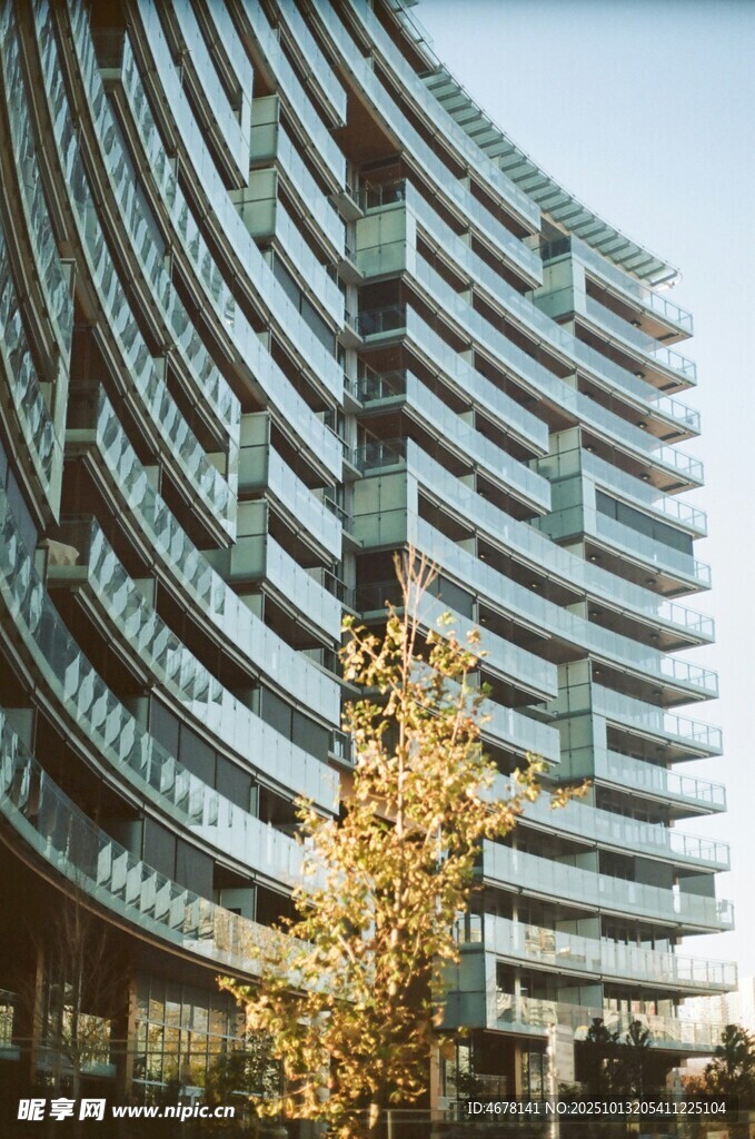 现代弧形建筑旁的金黄树木