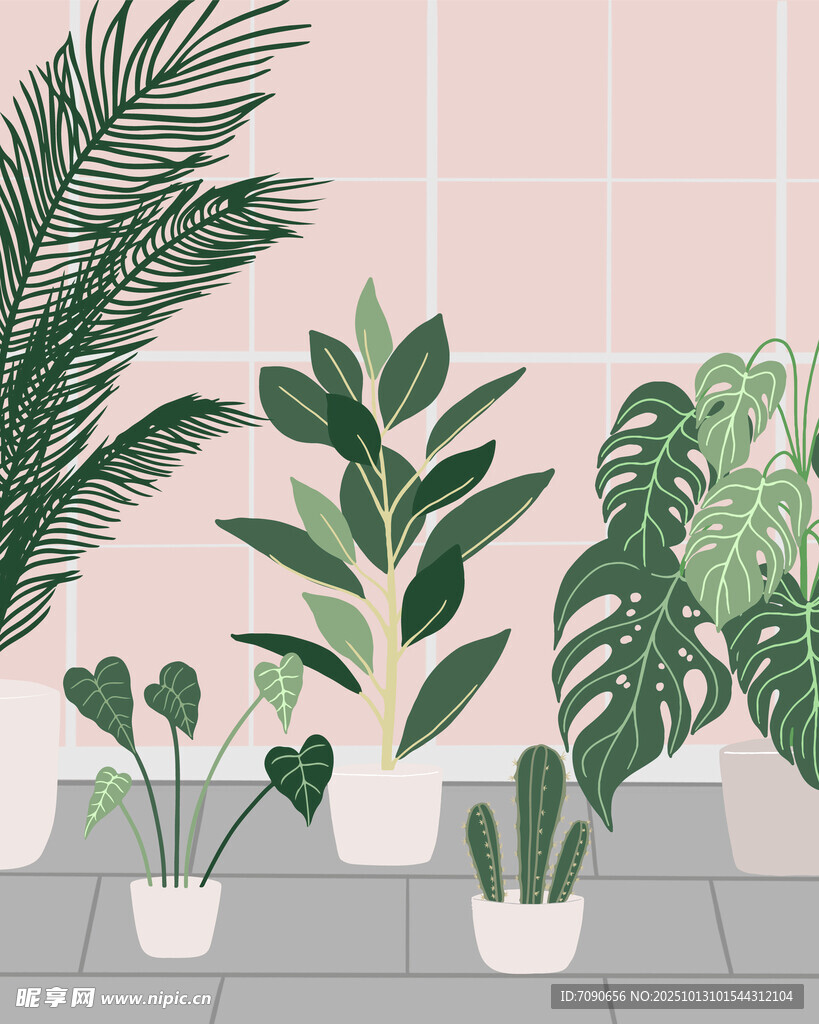 室内绿植盆栽 
