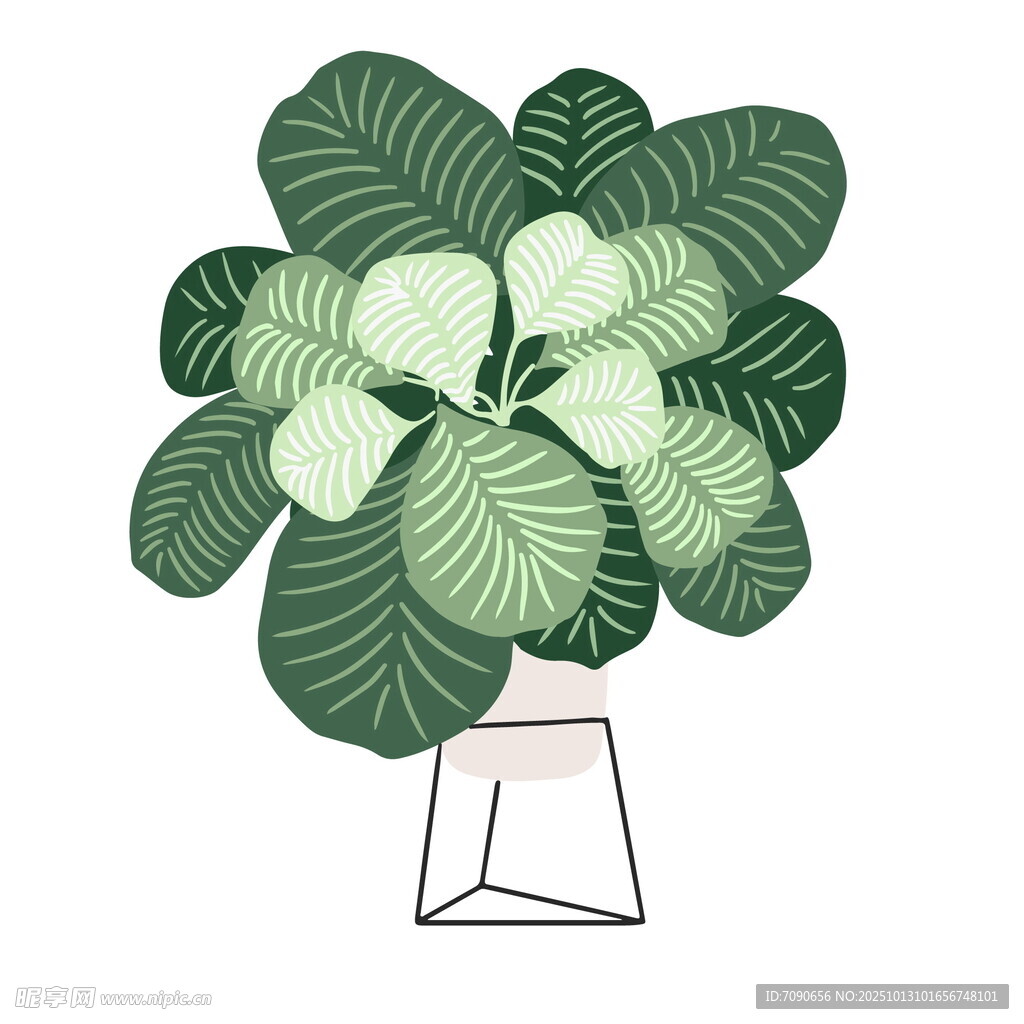 简约风绿植盆栽插画