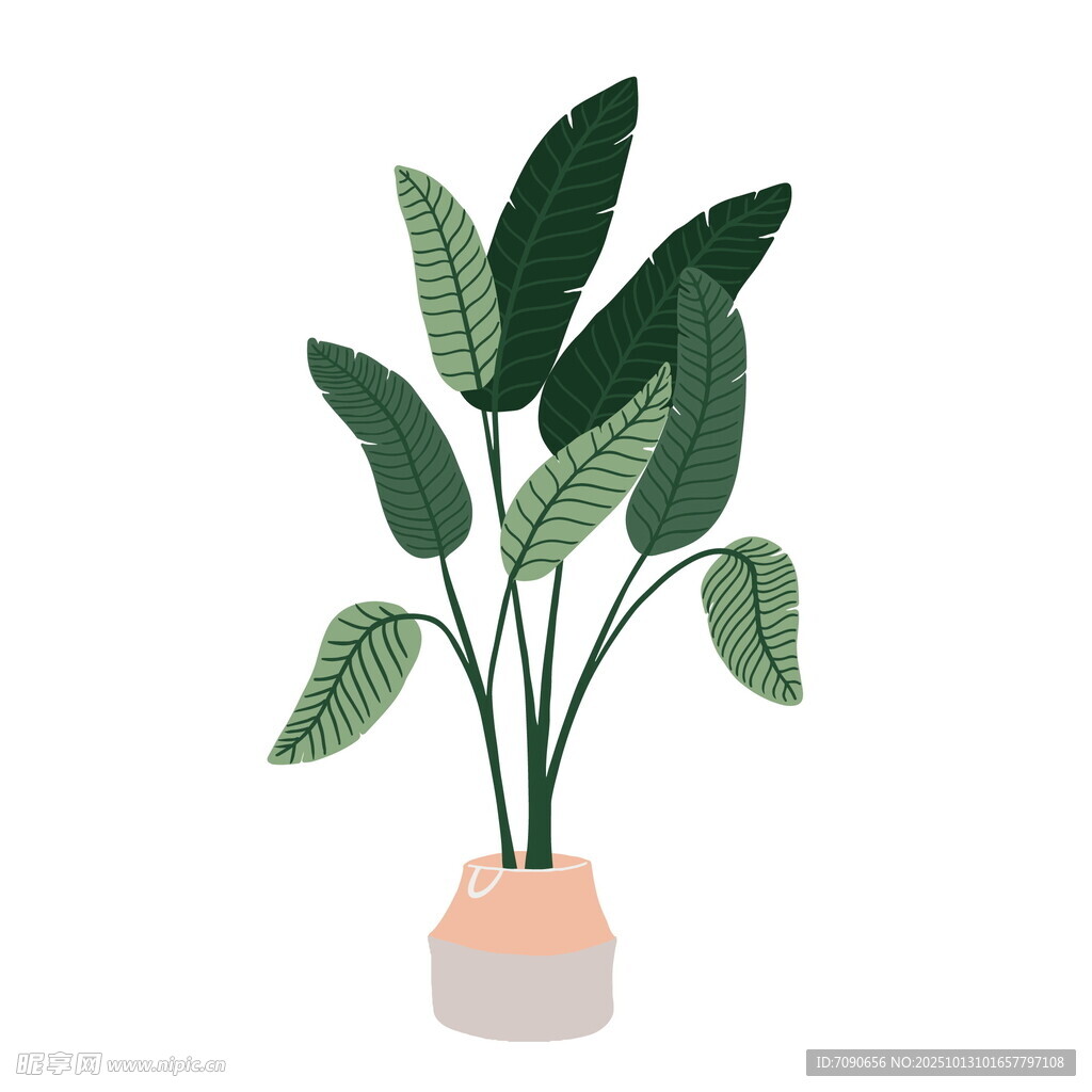 简约盆栽插画