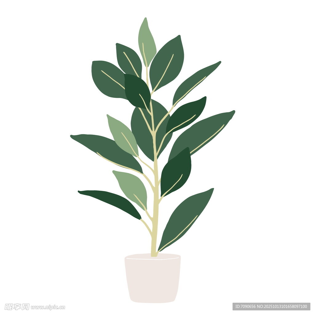 简约盆栽绿植插画