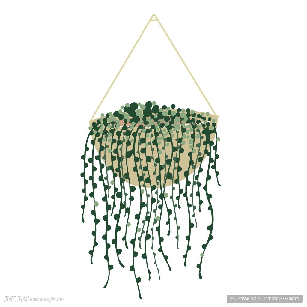 悬挂绿植装饰
