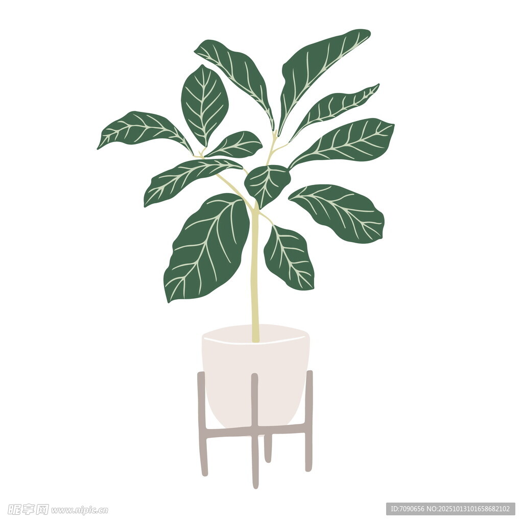 盆栽绿植插画