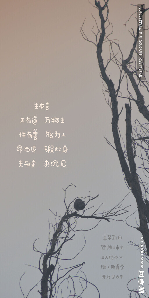 枯树小鸟 静谧天空 壁纸