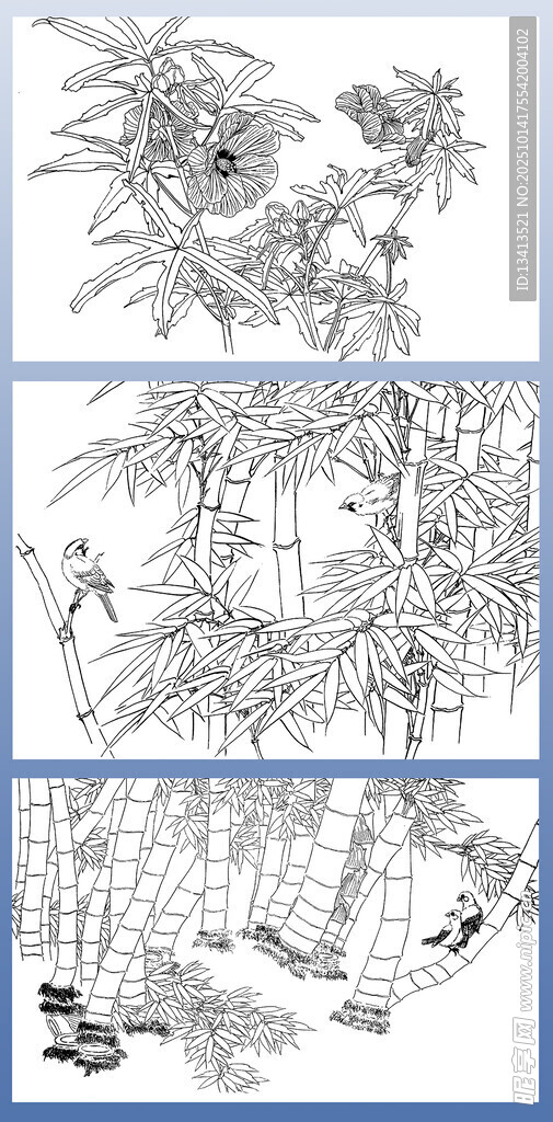 竹子 秋葵 白描画稿 三幅