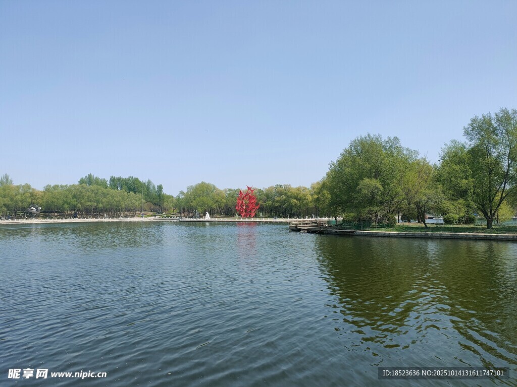 湖畔风光静谧湖水与绿树