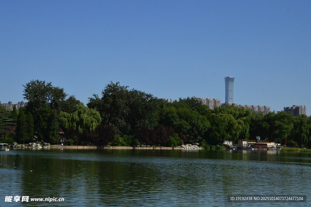 公园风景  