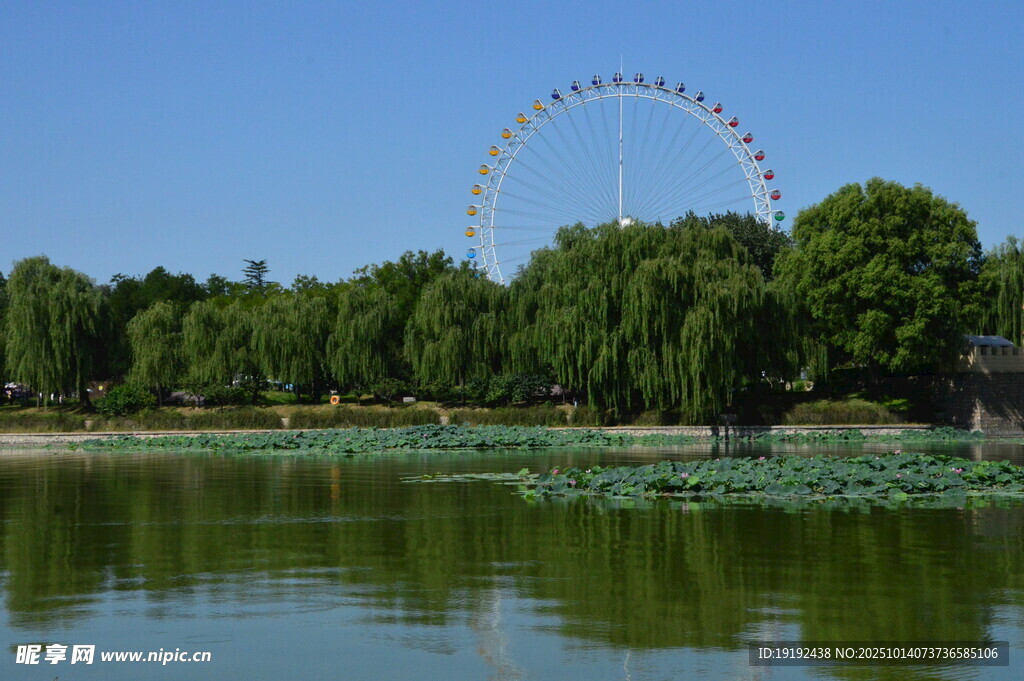 公园风景 
