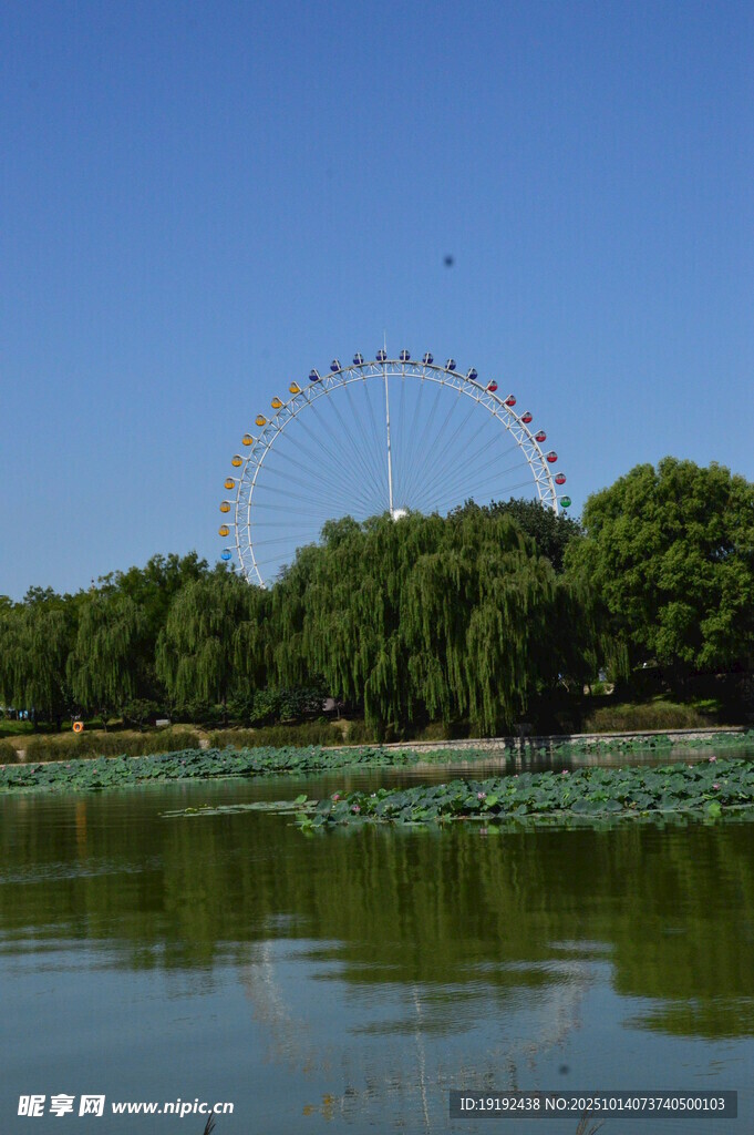 公园风景 