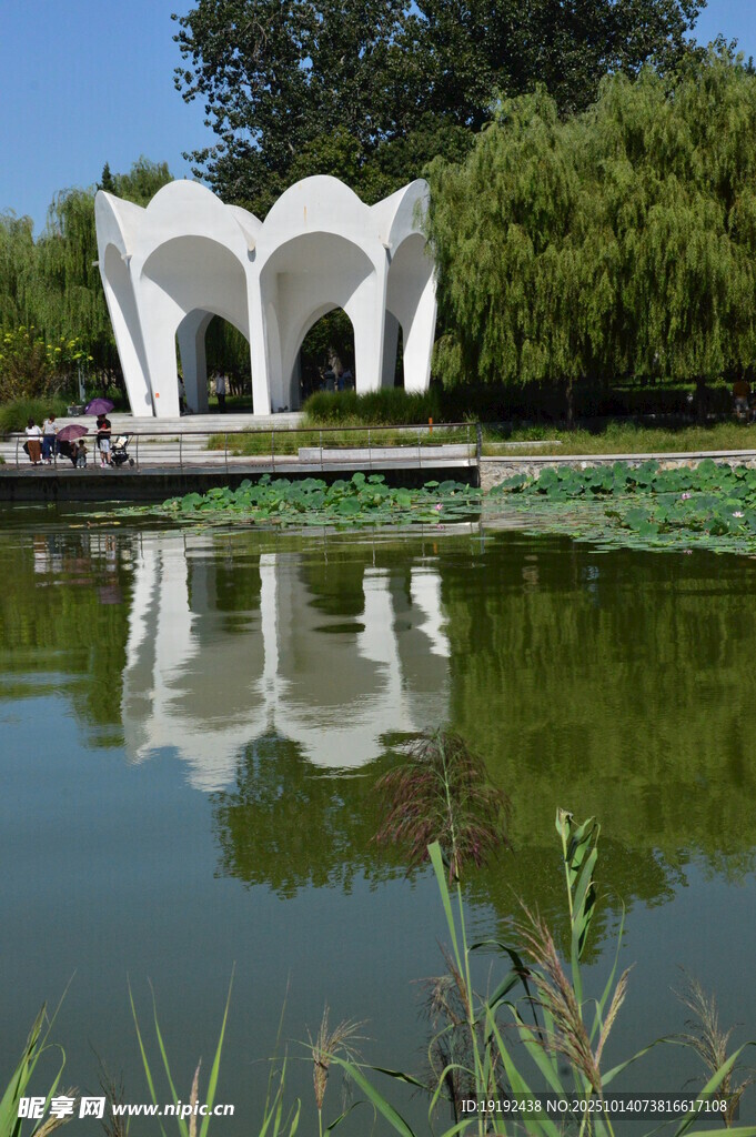 公园风景 
