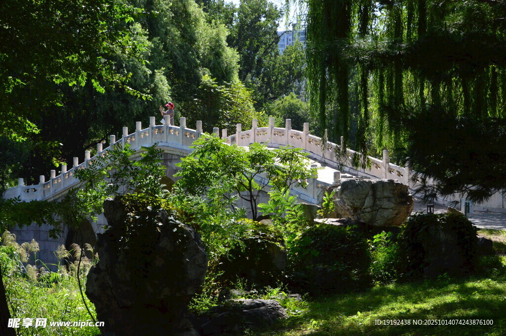 公园风景  