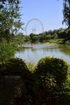 公园风景 