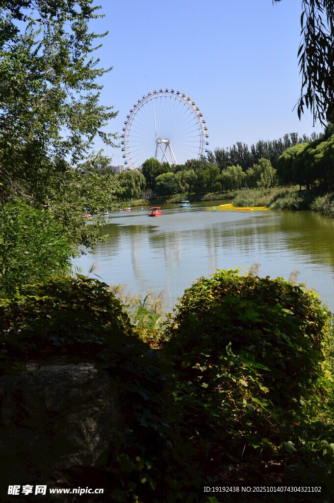 公园风景 