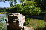 公园风景 