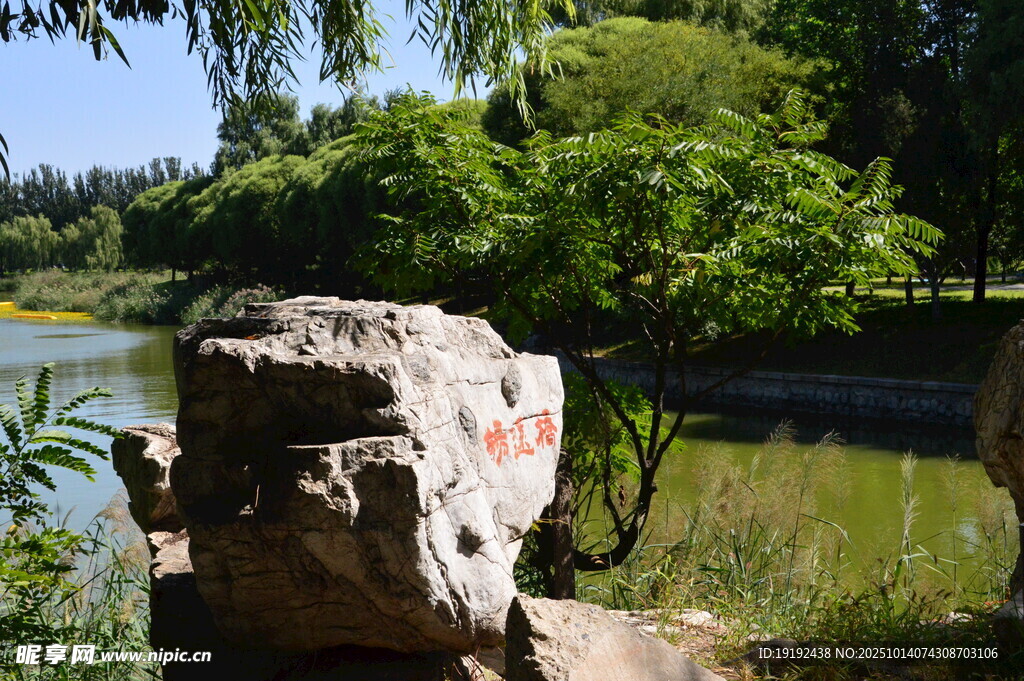公园风景 