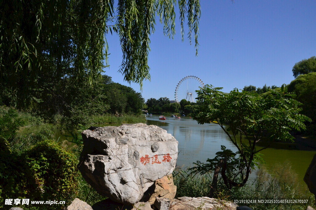 公园风景 