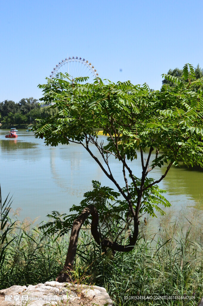 公园风景  