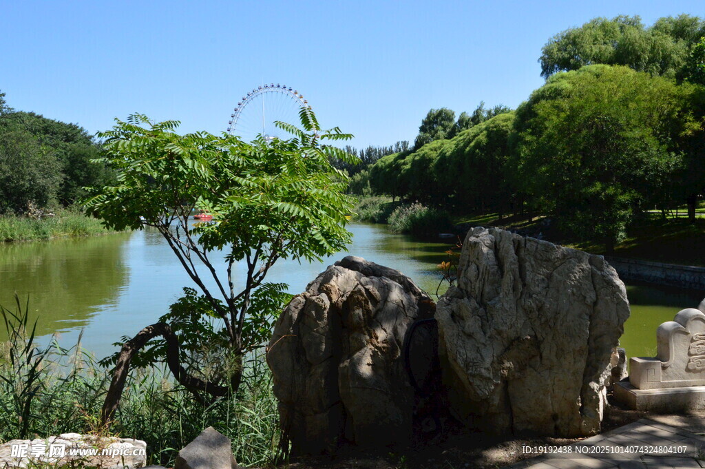 公园风景  