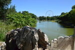 公园风景 