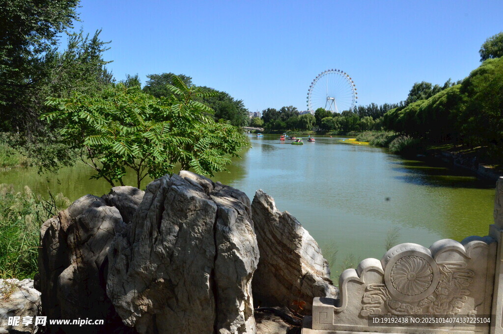 公园风景 