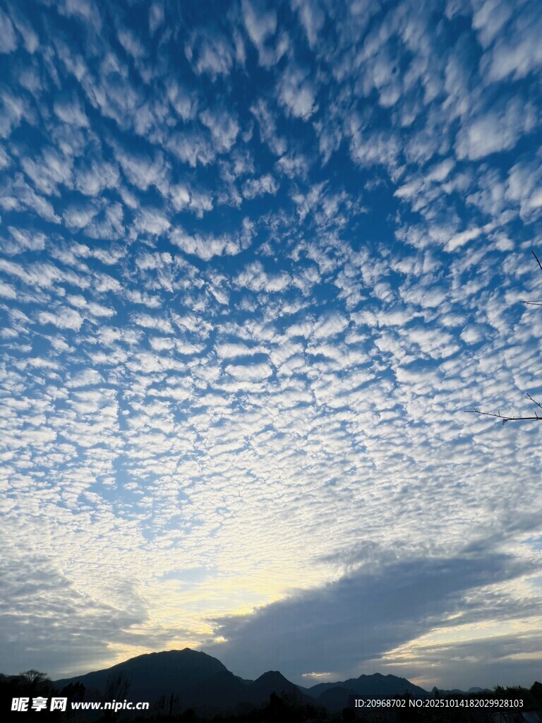 鱼鳞状的云朵