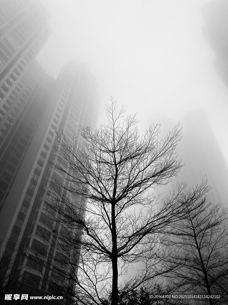 冬天的浓雾