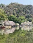 春季的七星岩景区
