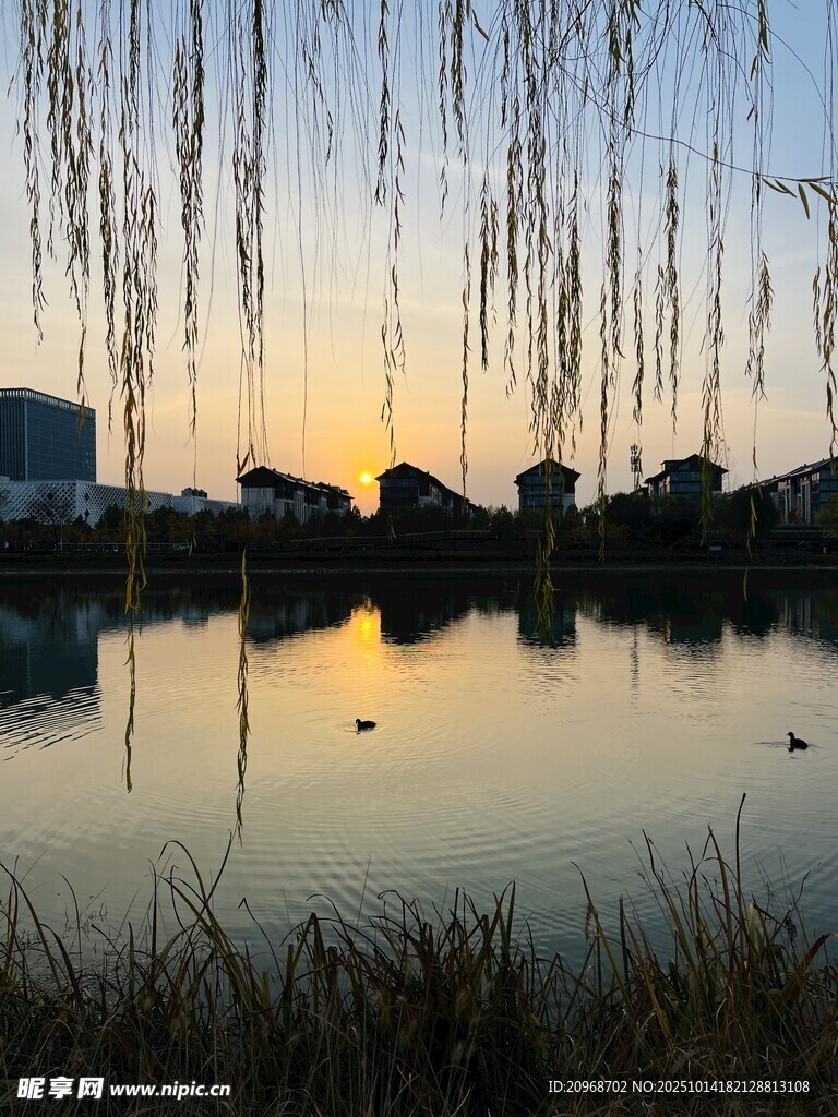 郑东新区落日