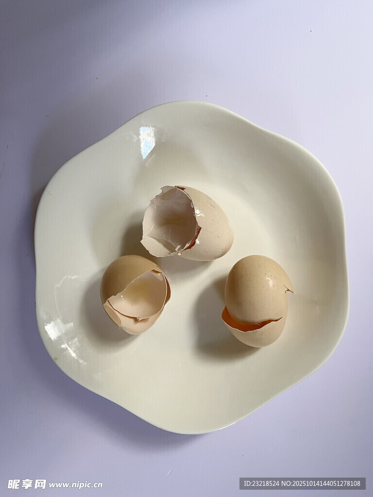 蛋壳