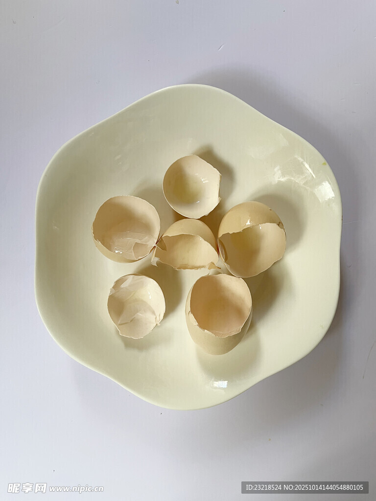 鸡蛋壳