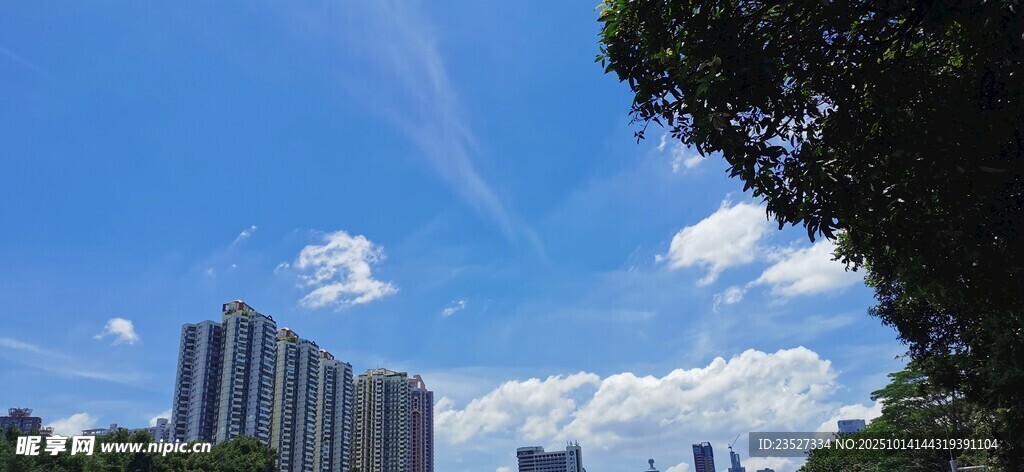 洪湖公园随拍 