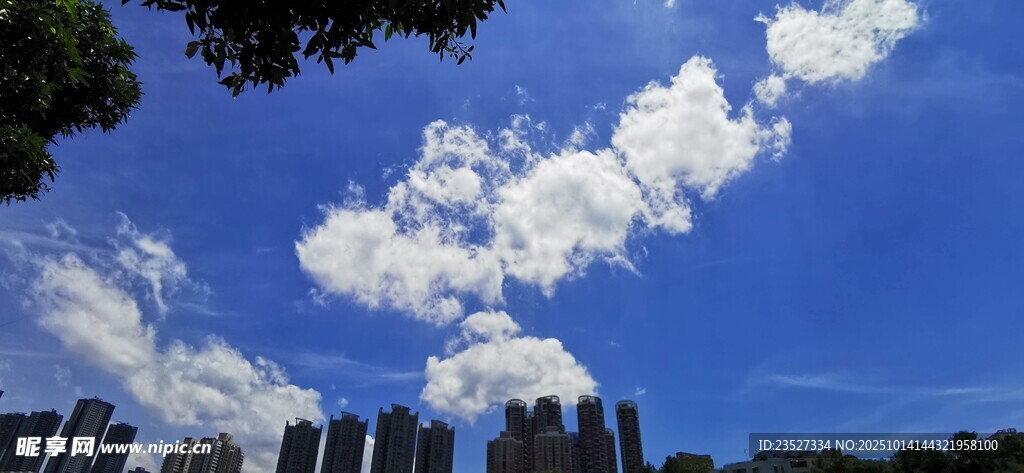 洪湖公园随拍 