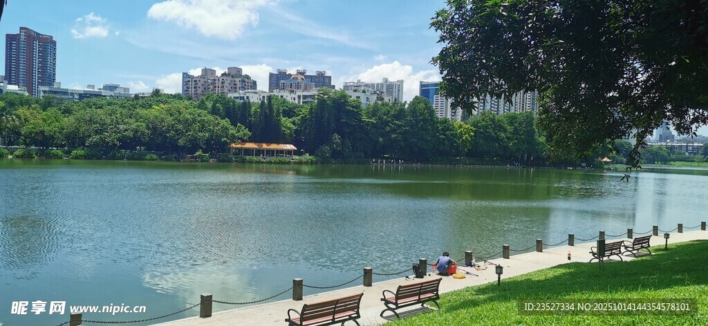 洪湖公园随拍 