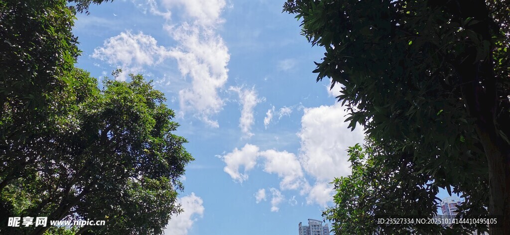 洪湖公园随拍 