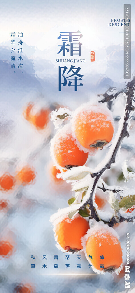霜降海报展板 字体插画 宣传促