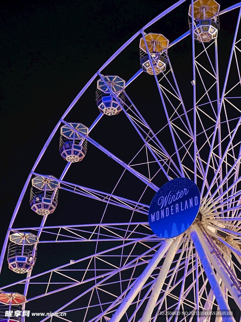 璀璨摩天轮夜景