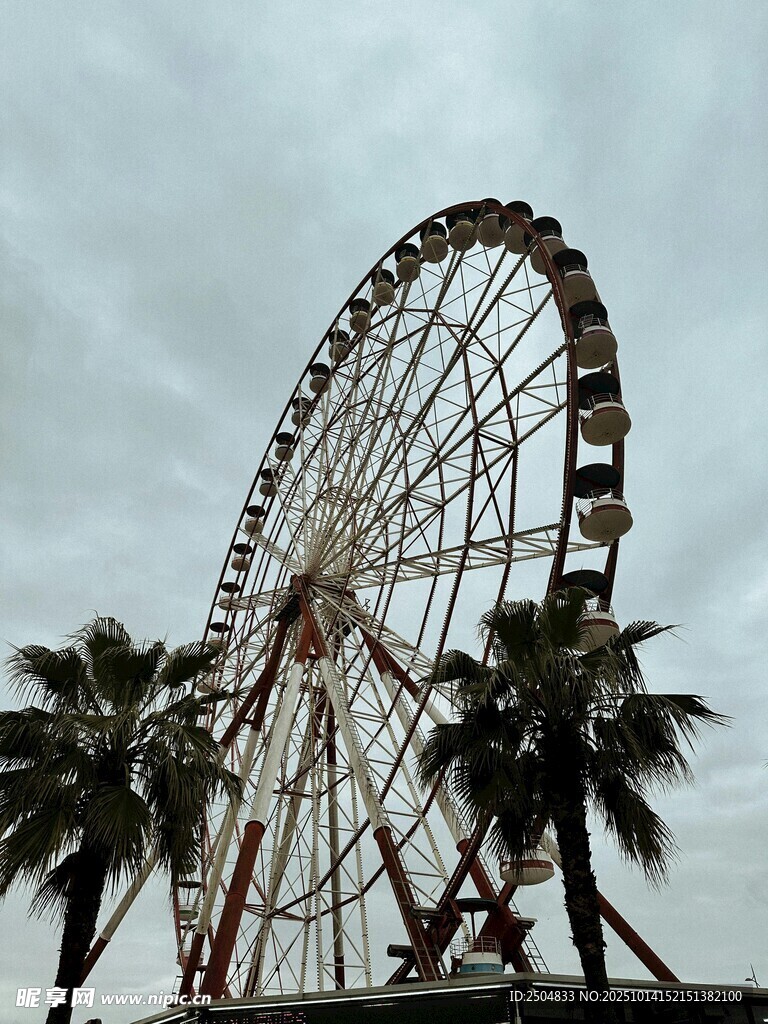 海边摩天轮与棕榈树景观