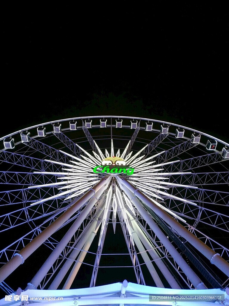 璀璨摩天轮夜景