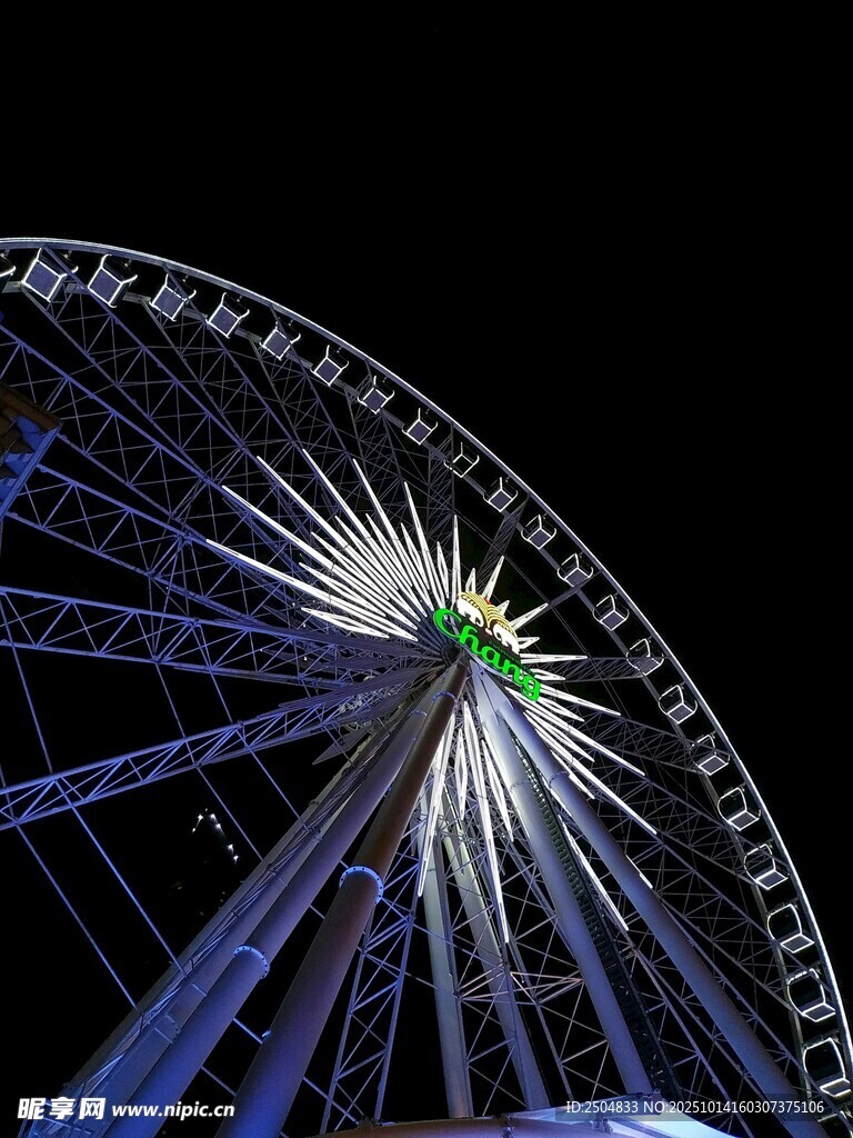 璀璨摩天轮夜景