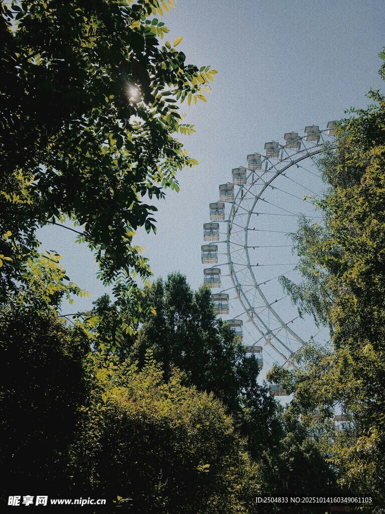 透过绿树望摩天轮