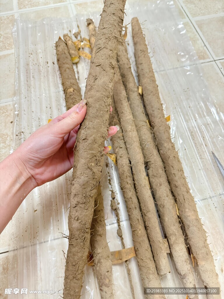 山药