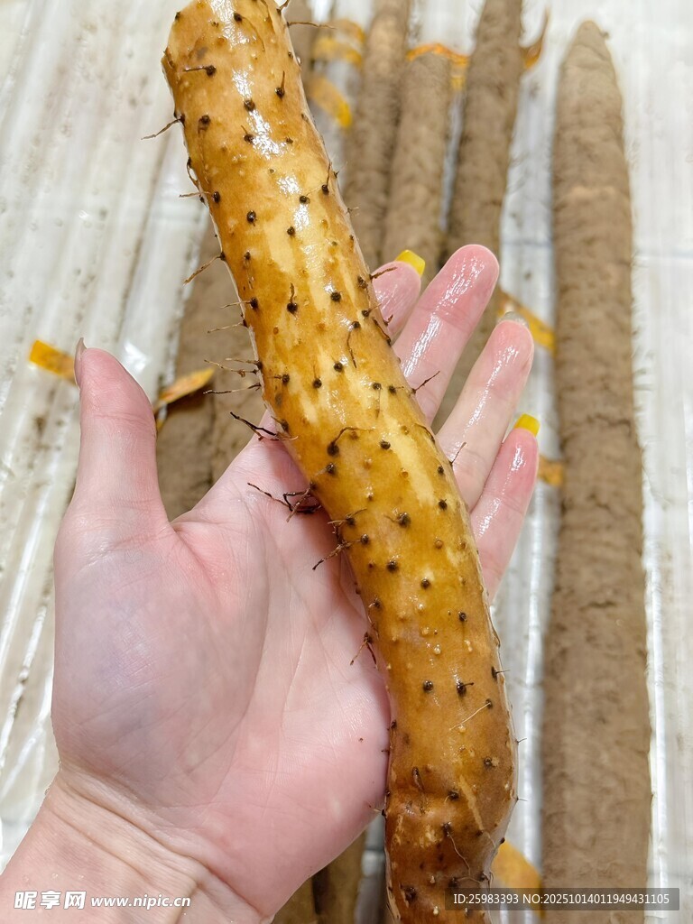 山药