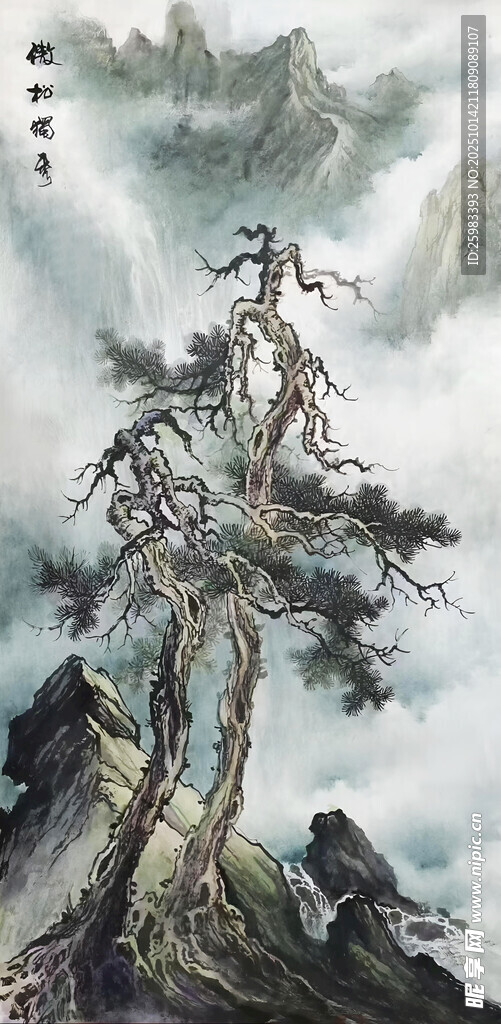高山劲松图